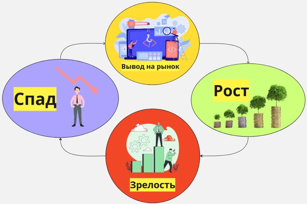 Что такое жизненный цикл продукта